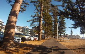 By the seaside in Manly