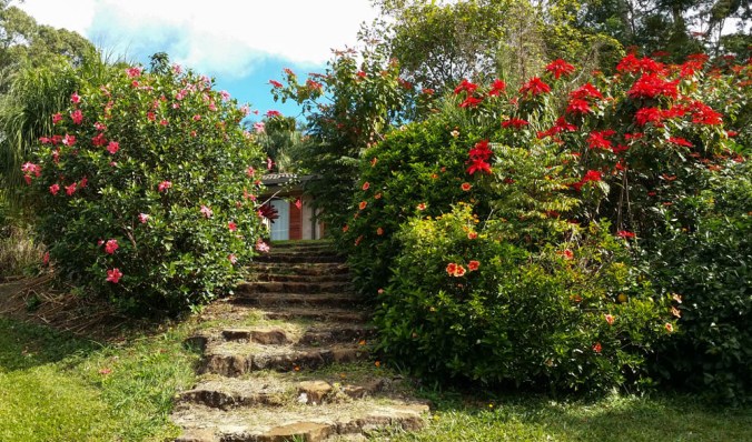 08 Nature Walk 13May2014