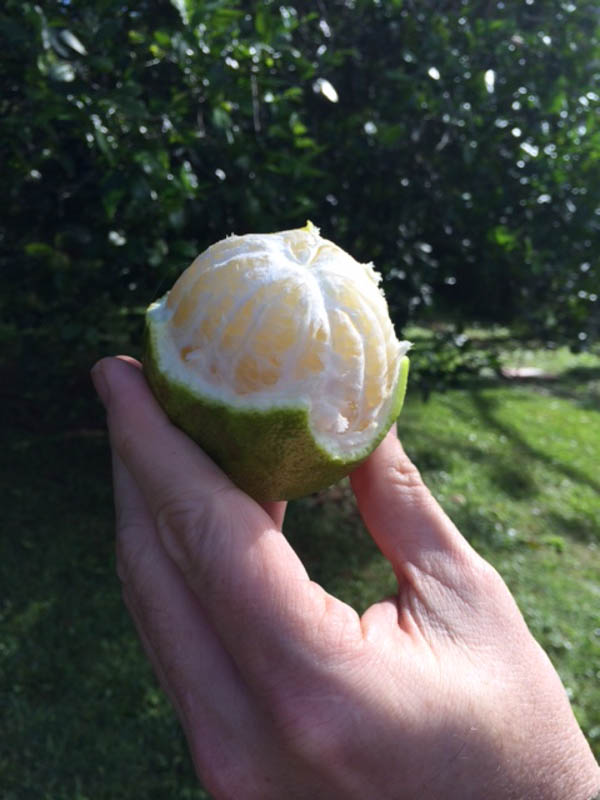 10 Nature Walk 13May2014