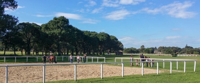 This is Centennial Park.  You can even ride horses here, in urban Sydney!